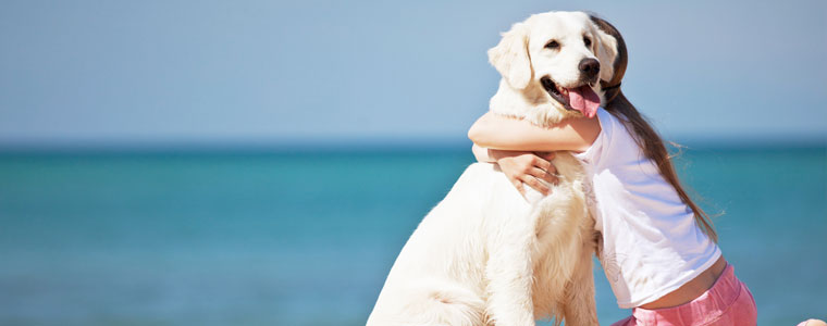 Erziehungskurse für Hundehalter