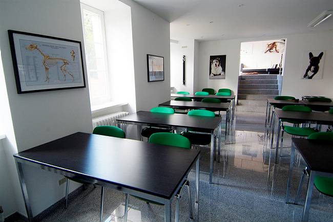 Dogcoach Institut Schulungsraum (Back)