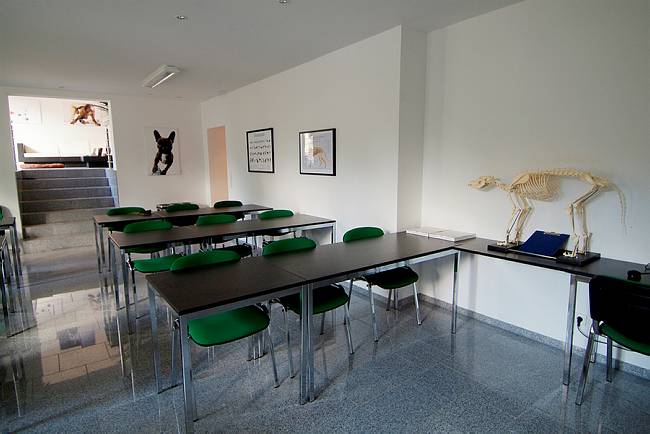 Dogcoach Institut Eingangsbereich Schulungsraum