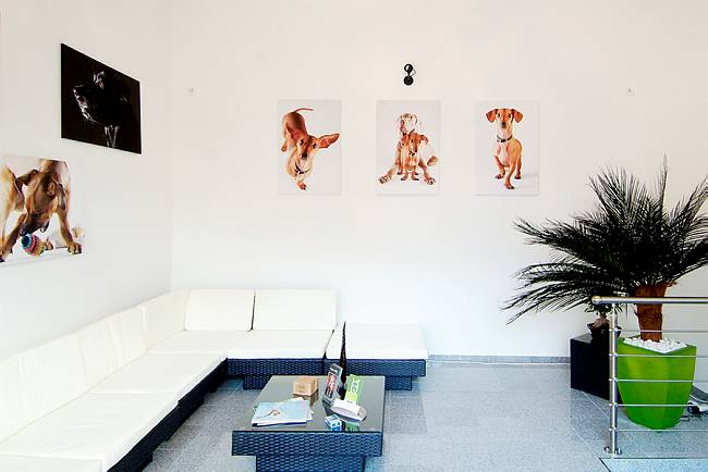 Loungebereich mit Galerie (Fotoaustellung Manja Elsässer)